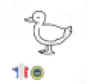 Magret de canard fumé IGP