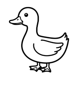 Magret de canard fumé IGP